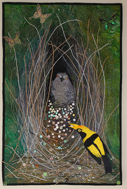 Roderick_Regent Bowerbird