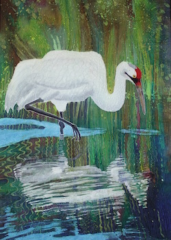whooper