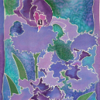 violet iris