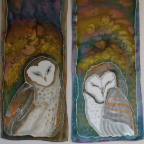 Barn Owls