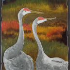 Two Cranes Looking